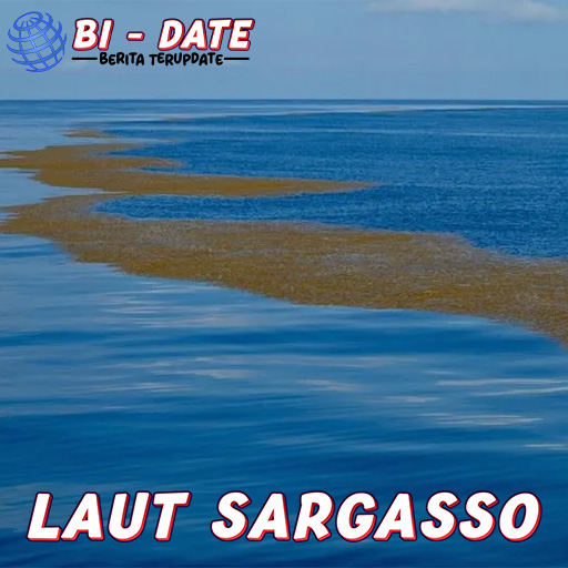 Laut Sargasso