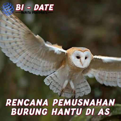 Burung Hantu