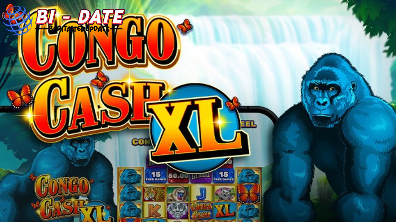 Congo Cash XL