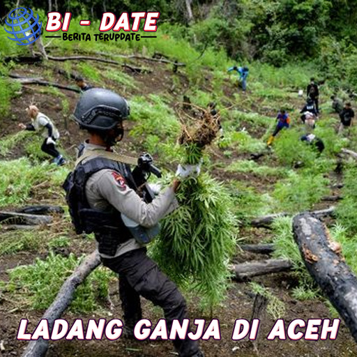 Penemuan Ladang Ganja