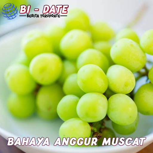 Anggur Muscat