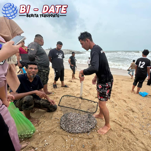 Abaikan Larangan, Warga Berburu Kerang di Pantai Dungun!