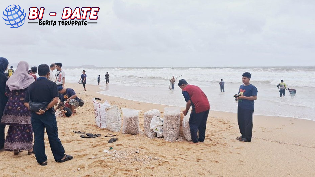 Abaikan Larangan, Warga Berburu Kerang di Pantai Dungun!